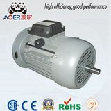 220V 380V 3 Phase Induction Electric Motor