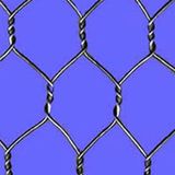 Hexagonal Wire Mesh