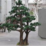 Hot Sale Artificial Pine Tree Fake Podocarpus Tree