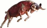 Goat of Muscle (HOFFEN-Z8)
