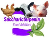 Saccharicterpenin for Fish