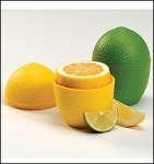 Lemon Saver (LE52685)