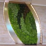 High Quality Artificial Plants and Flowers of Green Wall Gu-Wall00809991001