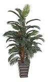 Best Selling Artificial Plants of Palm Tree Gu-695-72-4
