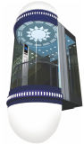 Dsk Sightseeing Elevator with Good Quality