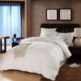 Synthetic Cluster Fibers Comforter for Hotel