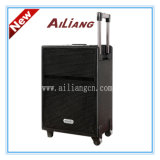 Ailiang Trolly Speaker & Rechargeable Speaker (USBFM-T10K/T12K/T15K)