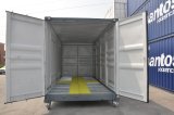 10ft/20ft/40ft Container Storage for Dangerous Goods