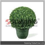 Sunwing Latest Preserved Boxwood Ball IVY Ball Topiary