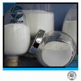 Antibacterial Agent Catalyst Zinc Oxide