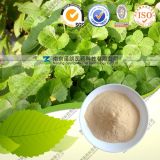 Memory Enhancing Centella Asiatica Extract Madecassic Acid
