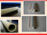 40*3.7mm 1.25MPa Cold Water PPR Plastic Pipe