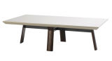 Modern Rectangle Coffee Table with Wood (TT-A130)