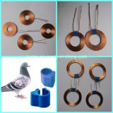 RFID Inductor for Animal Track Control System (Electromagnetic Coil)