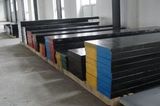 Alloy Steel DIN1.2080