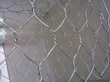 Hexagonal Wire Netting