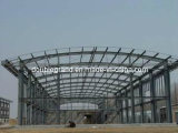 Steel Structure for Plant/Workshop (DG2-046)