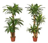Artificial Plants and Flowers of Dracaena 168lvs