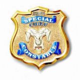 High Quality Metal Custom Police Badge
