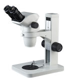 Binocular Stereoscopic Microscope