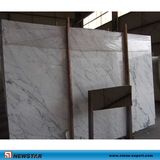 Bianco Statuario Michelangelo Marble