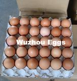 Eggs