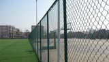 Sports Fence