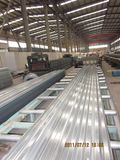 Corrugated Sheet (002)