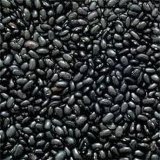 Black Kidney Beans (005)