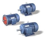 Y Series Three-Phase Electric Motor