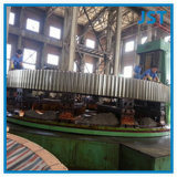 Supply Forging Steel Bull Gear