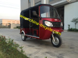 Red Color for Passenger Tricycle with 150cc (DTR-11B)