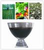 Organic Liquid NPK Seaweed Fertilizer