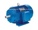 Medium Size Machine DC Motor (Electric Motor)