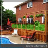 Hot Selling Decorative Grass Plastic Artificial Plant Fence