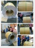 Aluminum/Aluminium Coil with Moisture Barrier for Insulation