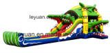 Cuangzhou Leyuan Inflatable Water Slides Manufacturer