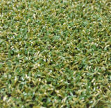 Synthetic Grass for Golf Course (CPG-10PP)