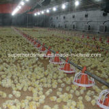 Automatic Chicken Feeding Equipment for Broiler