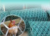 Hexagonal Wire Netting