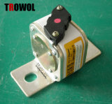 Semiconductor Fuse (RS8 L1A5N)