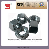Good Quality Factory Manufactured Hydraulic Fitting Hexagon Nut (M33*2)
