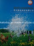 Ekato Dicalcium Phosphate DCP/MDCP/Mcp From China