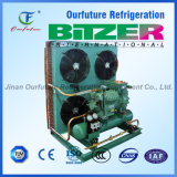 Bitzer 230V 60Hz Ice Rink Condensing Unit