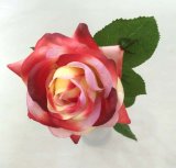 Artificial Single Stem Curve Edge Rose Flowers for Decoration
