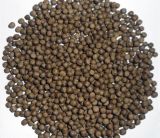 Trout Fish Feed for Trout Starter