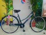 China Simple and Cheap City Bicycle (FP-LDB-026)