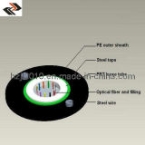 Fiber Optic Cable/Fiber Optical Cables
