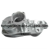 Auto, Motor, Machine, Die Casting Aluminum Parts (HG501)