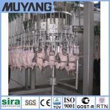 Poultry Slaughtering Machine / Equipment